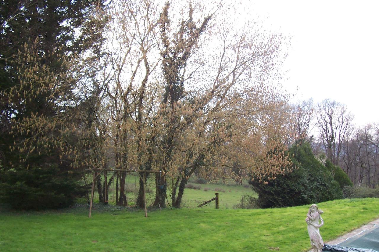 Bed and Breakfast Chateau Champigny Maillet  Exterior foto